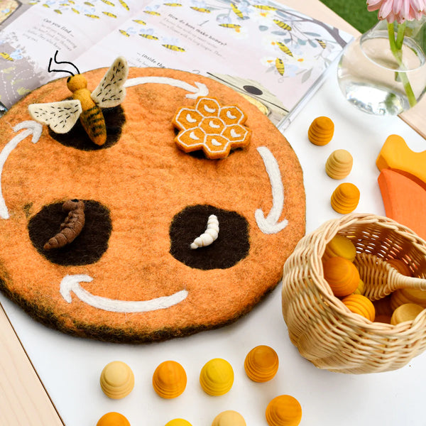 Felt Lifecycle of a Honey Bee 蜜蜂生命週期教材