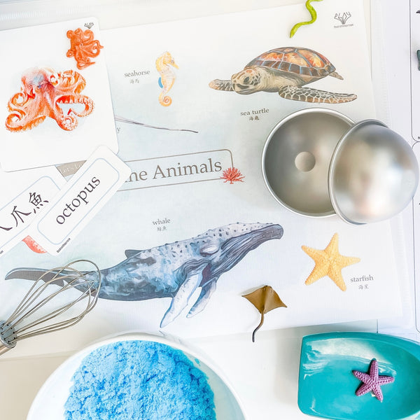 🌊海洋世界沐浴球DIY套裝 Marine Life DIY Bath Bomb Set