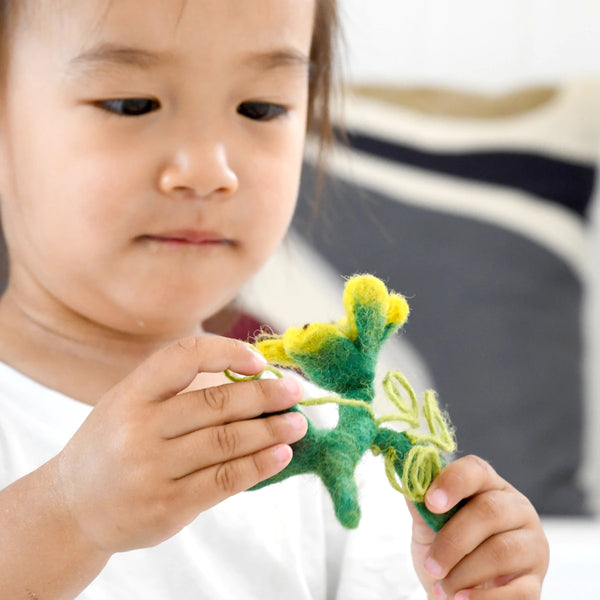 Felt Lifecycle of Pumpkin 南瓜生命週期教材