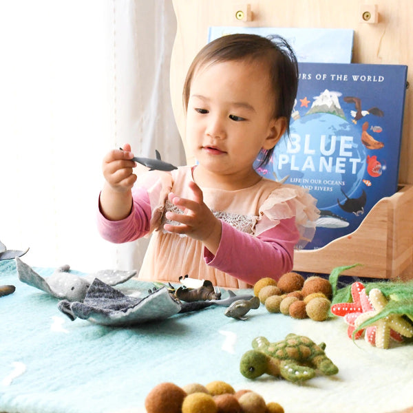 Sea, Beach and Rockpool Play Mat Playscape 海灘海洋場景遊戲墊