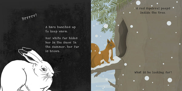 Secrets of Winter ( A Shine-A-Light Book)