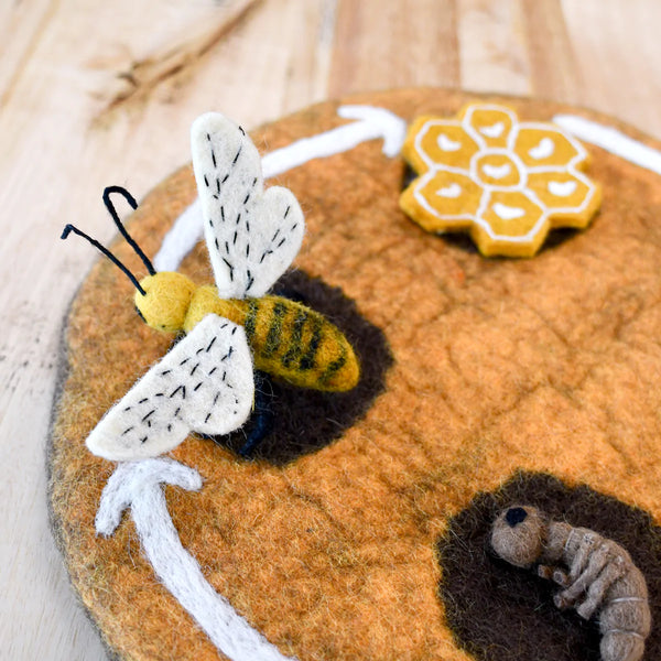 Felt Lifecycle of a Honey Bee 蜜蜂生命週期教材