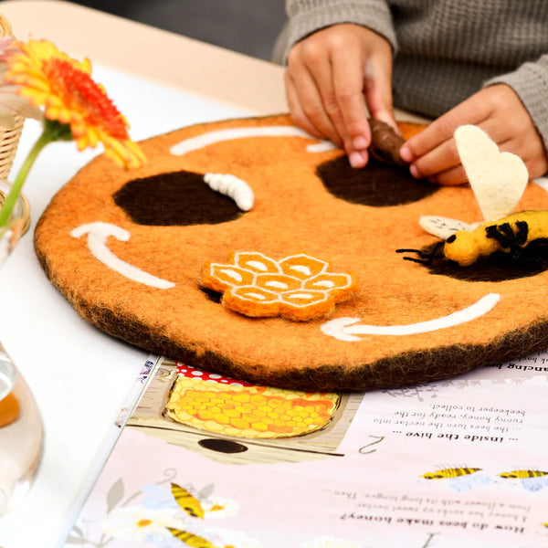 Felt Lifecycle of a Honey Bee 蜜蜂生命週期教材