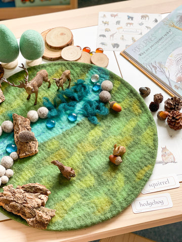 Woodland Sensory Play Kit (Mess Free)