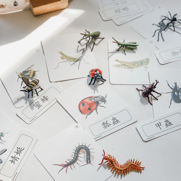 CollectA Bug Figurines 仿真昆蟲系列