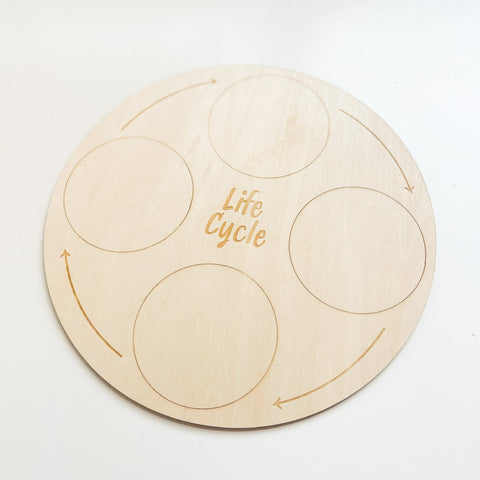 Wooden Lifecycle Learning Board 木製生命週期學習板