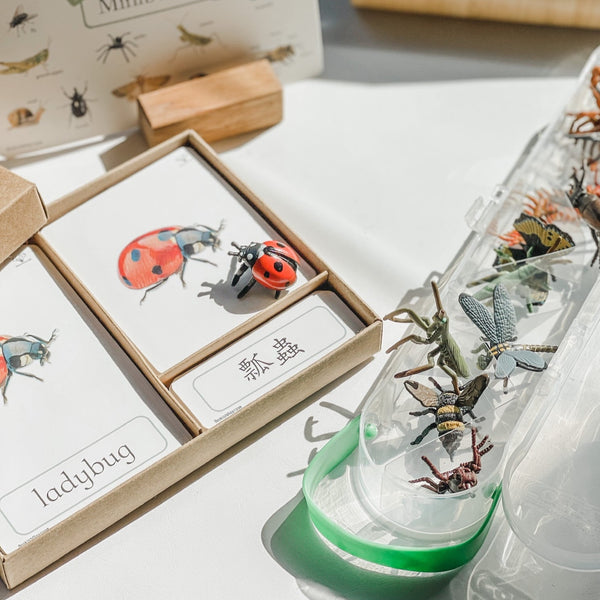 CollectA Bug Figurines 仿真昆蟲系列