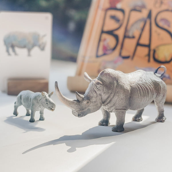 CollectA Safari Animal Figurines 仿真非洲草原動物玩具系列