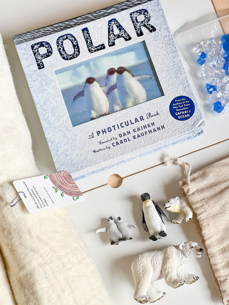 Polar World Large Play Mat Set