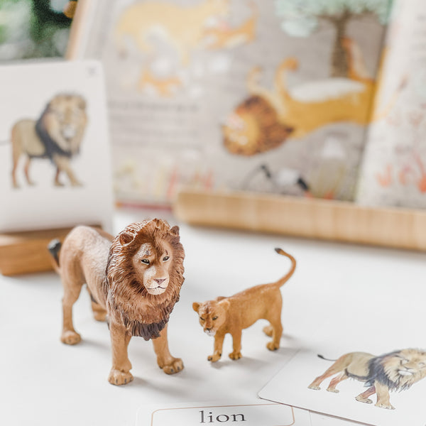 CollectA Safari Animal Figurines 仿真非洲草原動物玩具系列