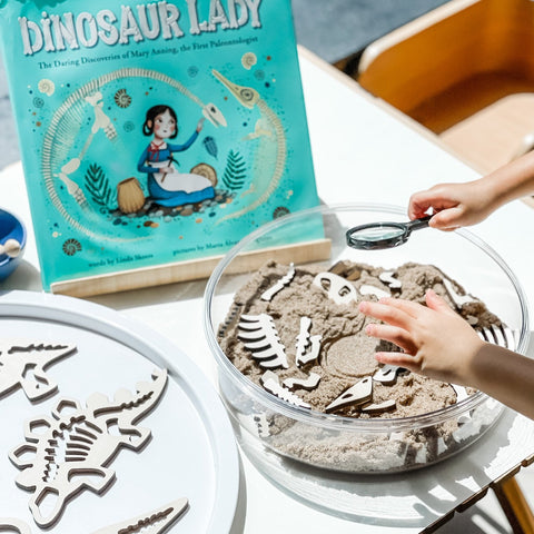 Little Paleontologist 小小考古學家套裝