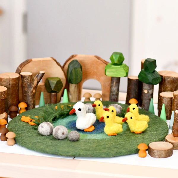 Duck Pond with 6 Ducks Play Mat Playscape 小池塘場景遊戲墊