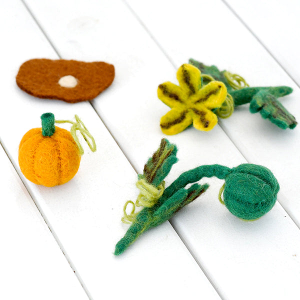 Felt Lifecycle of Pumpkin 南瓜生命週期教材