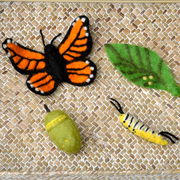 Felt Lifecycle of Monarch Butterfly 蝴蝶生命週期教材