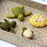 Felt Lifecycle of Green Sea Turtle 海龜生命週期教材