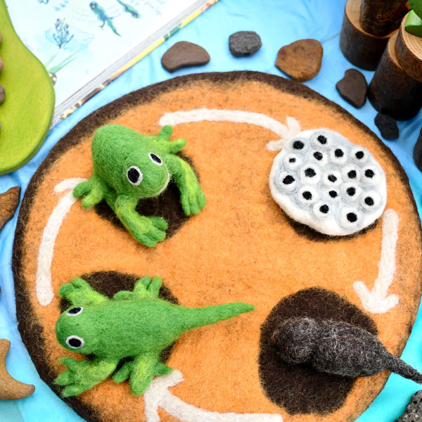 Felt Lifecycle of a Frog 蜻蛙生命週期教材