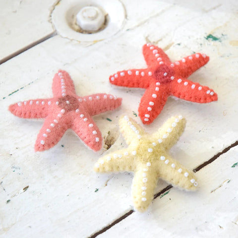 Felt Starfish - Set of 3 羊毛氈海星套裝