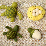 Felt Lifecycle of Green Sea Turtle 海龜生命週期教材