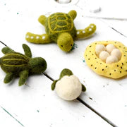 Felt Lifecycle of Green Sea Turtle 海龜生命週期教材