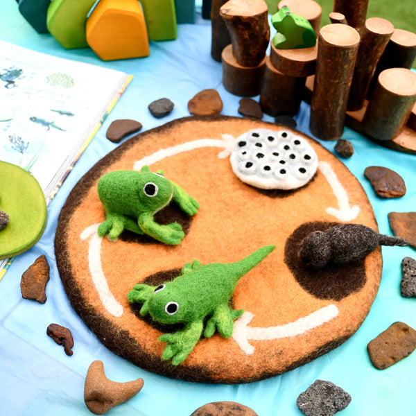 Felt Lifecycle of a Frog 蜻蛙生命週期教材